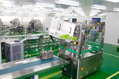 上?；瘖y品代加工廠的專業技術服務 從概念到成品的全方位支持